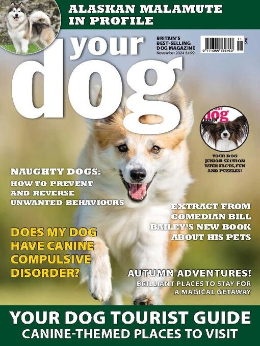 Title details for Your Dog by Warners Group Publications Plc - Available